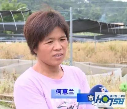 发展虎纹蛙养殖业，助村民“在家门口”实现就业增收