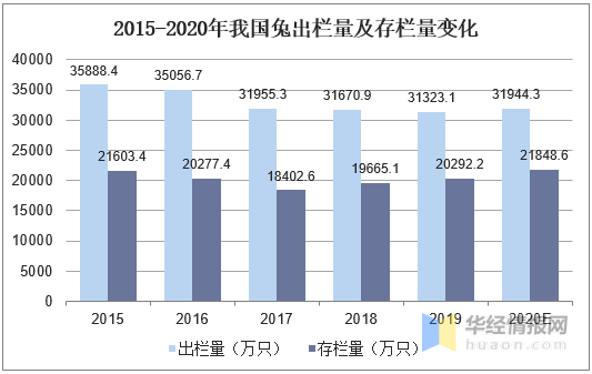 四川每年肉兔消费3亿只以上！迅速发展中的国内肉兔养殖产业