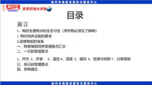 鸭子养殖技术视频(最新养鸭育雏期饲养管理鸭苗1到10天的养殖技术种鸭的饲养与管理)