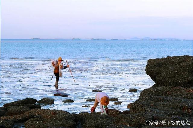 福建厦门海边沙滩挖花蛤全攻略来了