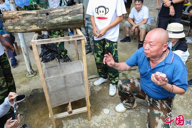 滇西秘境·云南生物多样性主题采访行｜胡蜂养殖成致富经 防虫增收可双赢