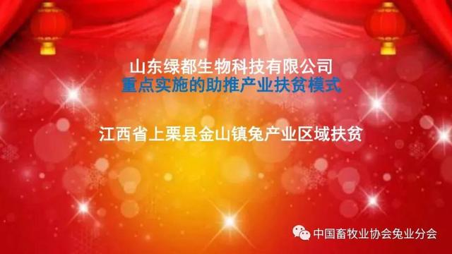 「脱贫攻坚」喜讯！金山镇荣获“2020年中国兔产业区域扶贫模式”先进称号