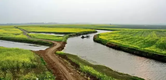 喷香的虾稻米、鲜美的小龙虾、芳香的油菜花，阜南白集村就在这里