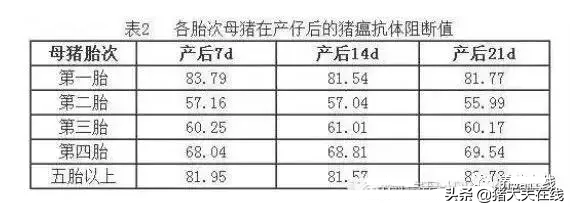 合理的猪瘟免疫程序，养猪人你知道吗？