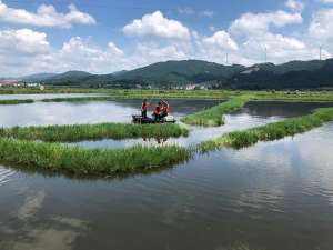 江西吉安龙虾养殖基地(江西吉水：中国清水龙虾之乡用“虾兵蟹将”助力乡村振兴)