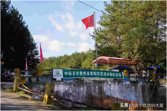 中裕百丰贵阳花溪农场巧用山水林木资源，打造土鸡避暑胜地