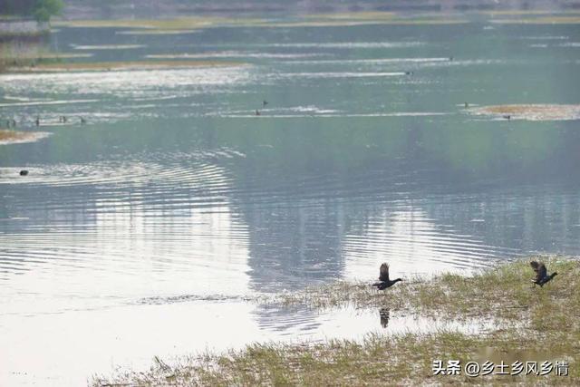 泛塘后的鱼池亏本成定局，年底干塘却收获成堆的小杂鱼，赚了不少