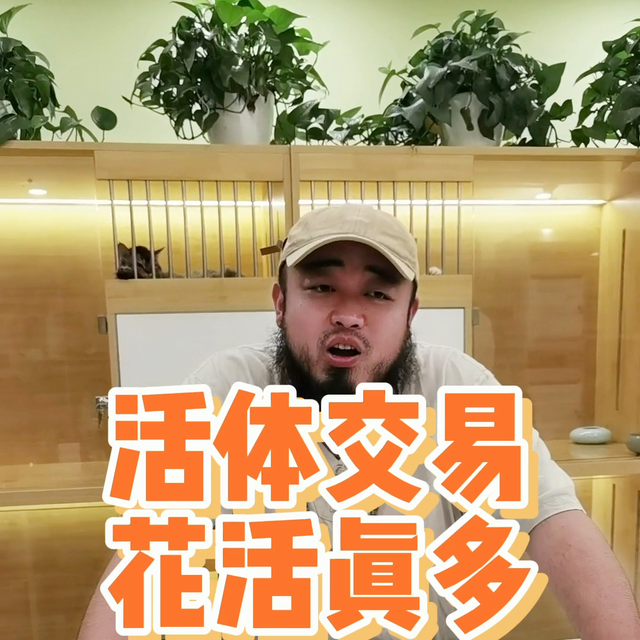 都是同行的故事，大家听一个乐呵，引以为戒吧#科学养宠攻略