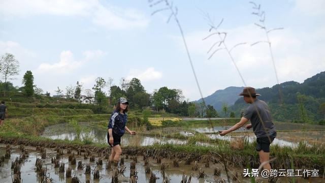 贵州凯里小龙虾往年泛滥成灾村民农药灭虾 如今变成宝贝致富