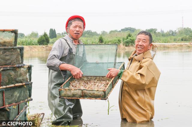 多种养殖助增收