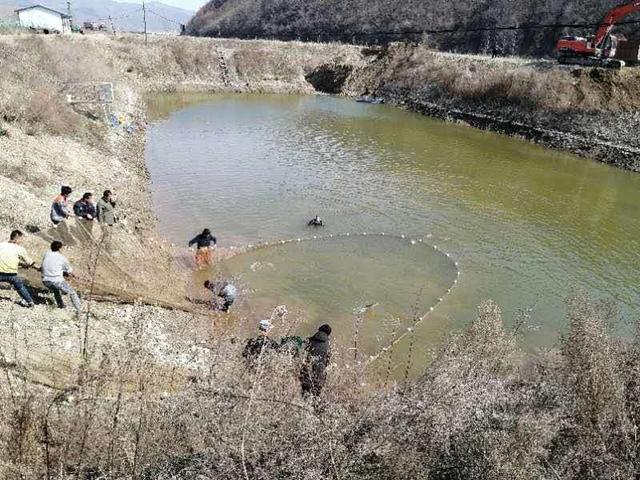 富民强村 岫岩三家子镇柳根鱼丰收