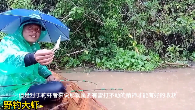 下雨天野河流野钓最大淡水虾罗氏沼虾，看小伙钓虾的技术咋样