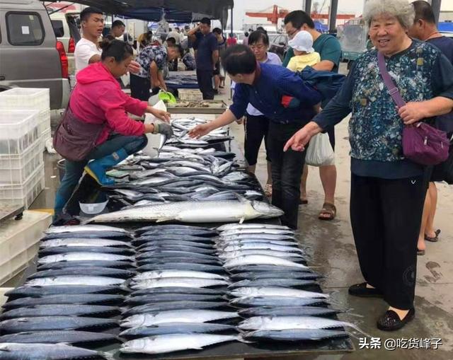 爱吃鲅鱼的人要留意了，记住这5点，教你挑到又鲜又肥美的鲅鱼