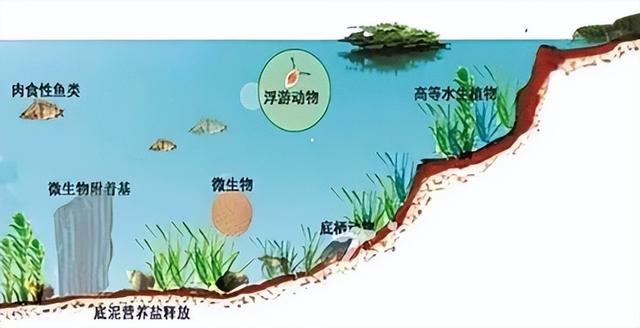 硬核分享！高密度技术养殖，如何高效“氧”鱼？