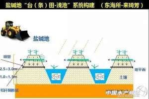 虾稻养殖有补贴(养殖户注意2019年做了尾水治理、稻渔混养、装备提升……可获国家重点补贴)