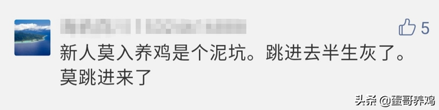 养1万蛋鸡一年收入100万？网友：赚大发了！蛋友：别再骗人养鸡了