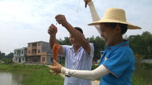 鲤鱼跳龙门！大肚腩形似荷包，大哥从江西引进养殖，一亩效益比四大家鱼高出500元