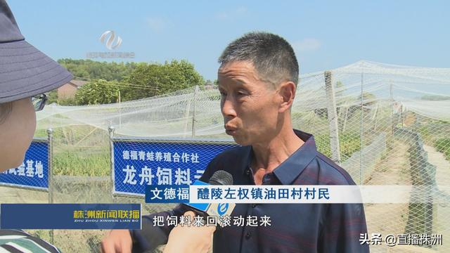 年收入超60万！“青蛙王子”还注册了商标