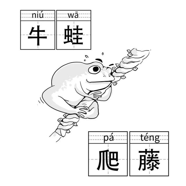 上海家长圈养娃黑话指南