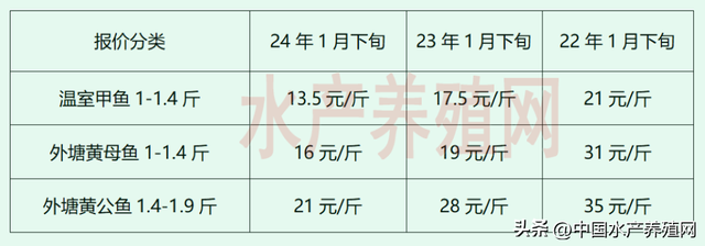 疯狂扩张！恶果显现！甲鱼价格一年不如一年，这个春节能反弹吗？