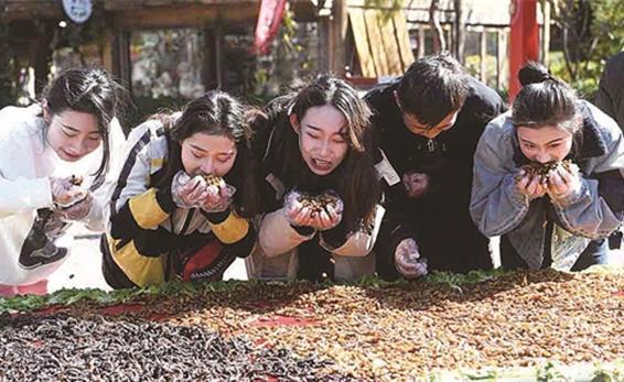 重口味！昆虫，管饱！你敢吃吗？云南百虫宴，款待游客