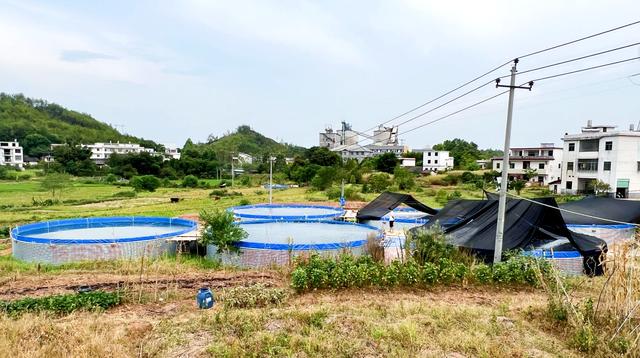 高密度养鱼技术养鱼池成本，帆布鱼池帆布水池高密度养鱼