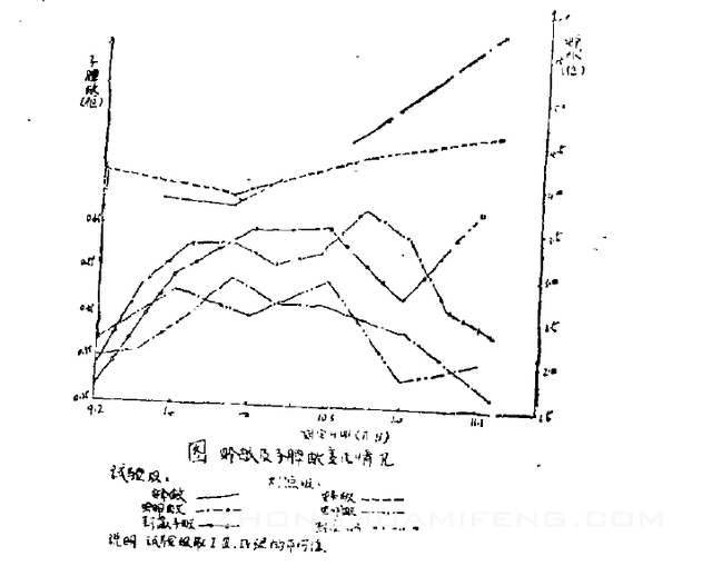 加速中蜂秋季繁殖的试验报告：阙瑞荣