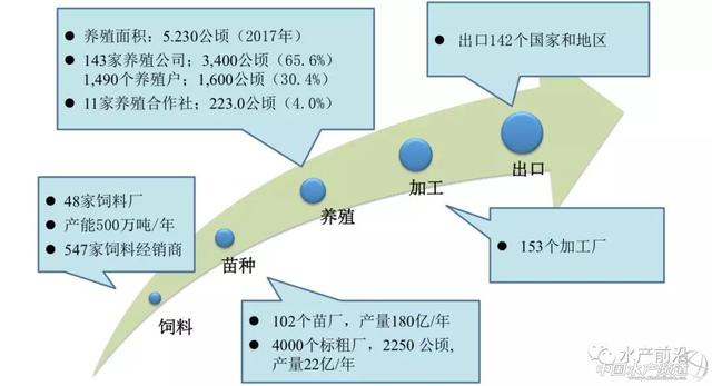 年产值300亿！华南正大兴养殖，巴沙鱼的前世今生你要懂