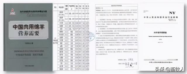 「学习笔记」马涛博士：寒冷条件下肉羊营养调控技术