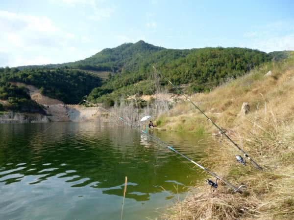 在野外如何垂钓叉尾鮰，它是食客比较喜欢的淡水鱼之一