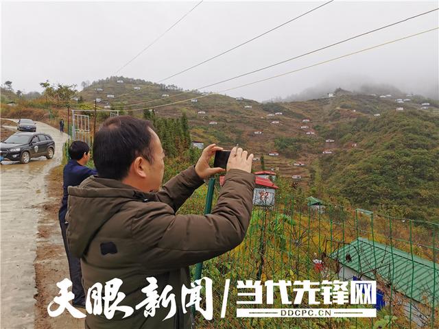 【林下经济现场观摩时】太震撼了！紫云新民村林下养鸡值得学习推广