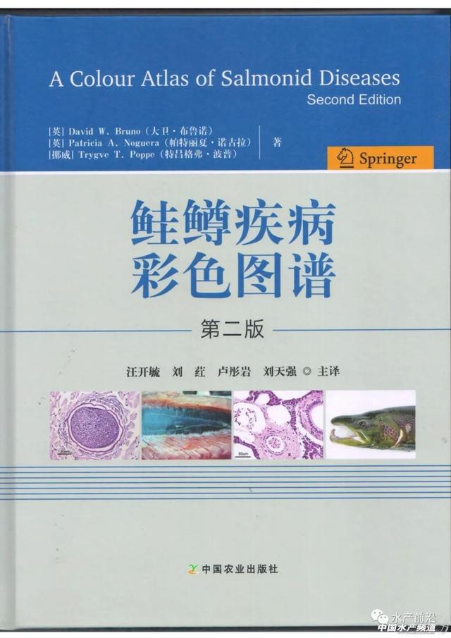 全球市场超250万吨，1年只能养出4万多吨，如何养好三文鱼，这本书你一定要看！