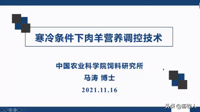 「学习笔记」马涛博士：寒冷条件下肉羊营养调控技术