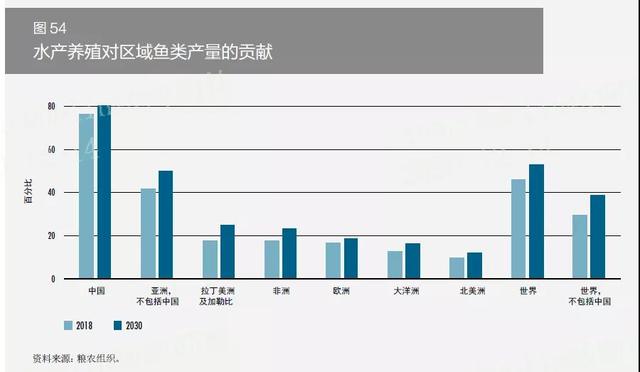 这条虾100口池，年赚6000万元！真能赚