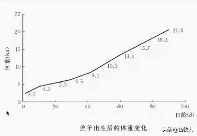 「学习笔记」马涛博士：寒冷条件下肉羊营养调控技术