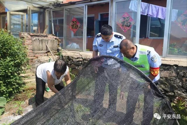 【一村一警】夹皮村的“守护神”——驻村辅警刘金龙