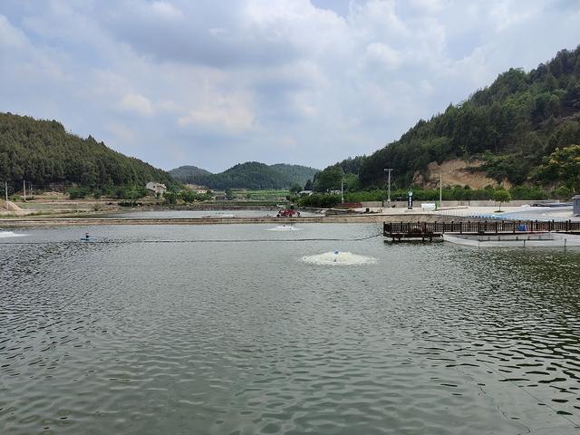 四川绵阳盐亭西部水产现代农业园区：四川最大淡水鱼集中养殖基地