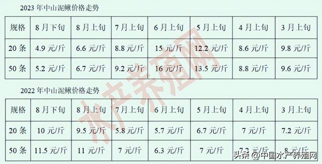 盲目跟风！价格跌成狗！不少泥鳅养殖户亏惨了！年前反弹无望？