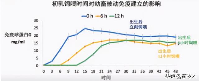 「学习笔记」马涛博士：寒冷条件下肉羊营养调控技术