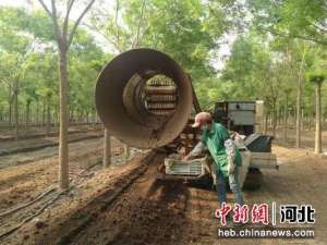 蚯蚓的养殖基地(河北冀州探索创新现代农业发展新模式 林下蚯蚓养殖“变粪为宝”)