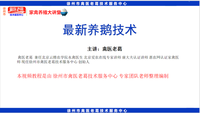 2024年最新养鹅饲养管理技术视频教程，养鹅新技术，禽医老葛