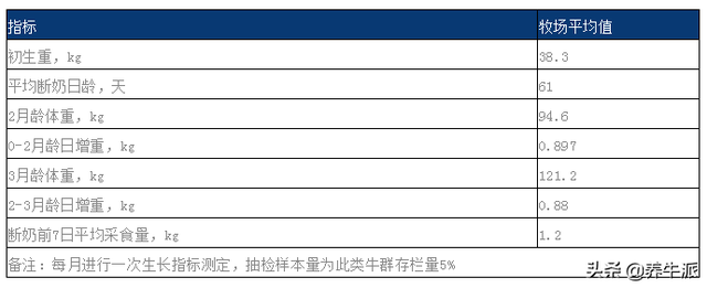 产奶量显著提升！后备牛标准化管理6大标准操作，点击了解！