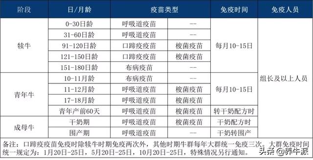 产奶量显著提升！后备牛标准化管理6大标准操作，点击了解！