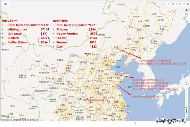 产奶量显著提升！后备牛标准化管理6大标准操作，点击了解！