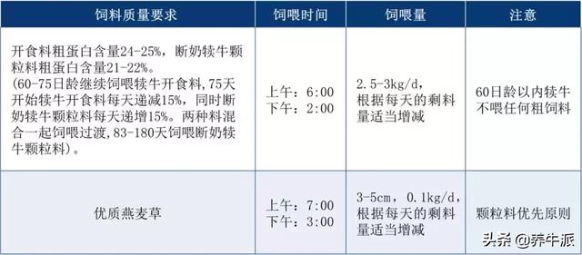 产奶量显著提升！后备牛标准化管理6大标准操作，点击了解！