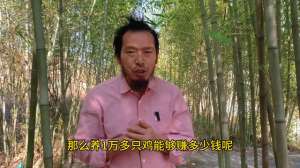 绿壳鸡蛋养殖场(乡村振兴事业，立足打造高山散养绿壳蛋鸡全产业链)