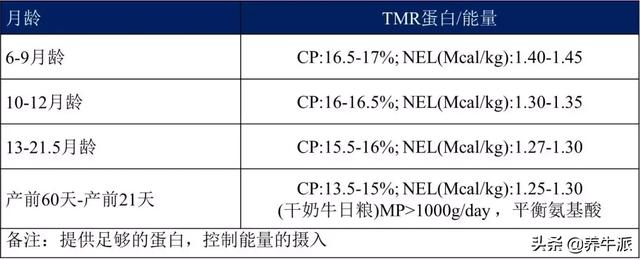 产奶量显著提升！后备牛标准化管理6大标准操作，点击了解！