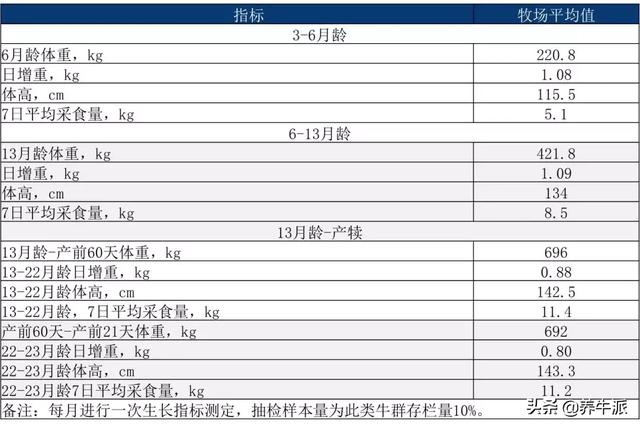 产奶量显著提升！后备牛标准化管理6大标准操作，点击了解！