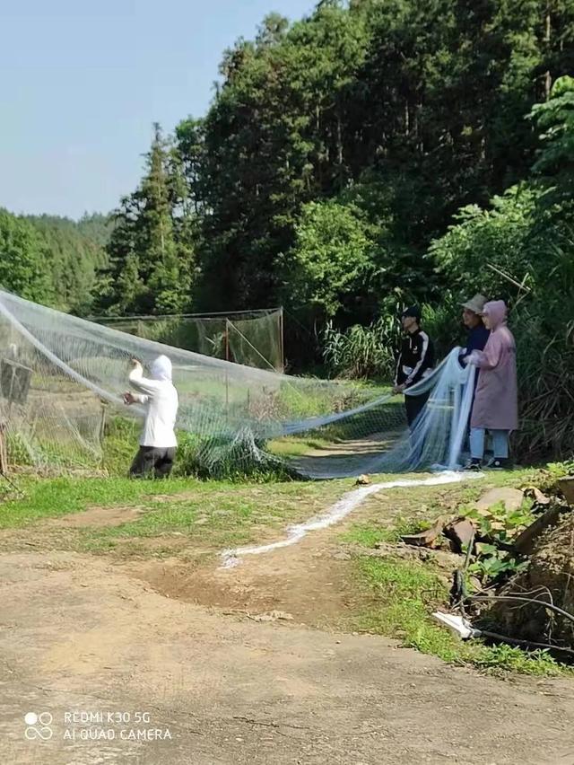 退伍军人变“泥鳅大王”