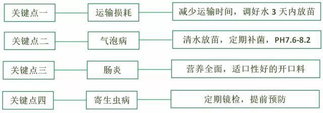 怎么养好泥鳅 泥鳅养殖场这样养，生意肯定好的不得了